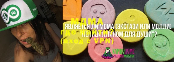 индика Верхний Тагил