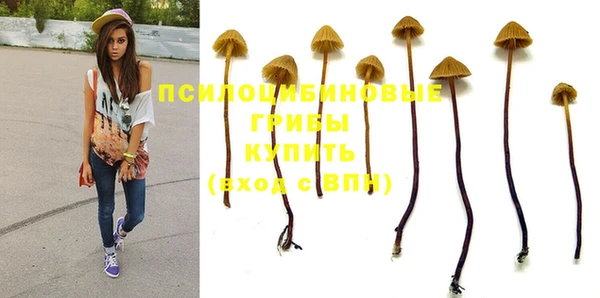 индика Верхний Тагил