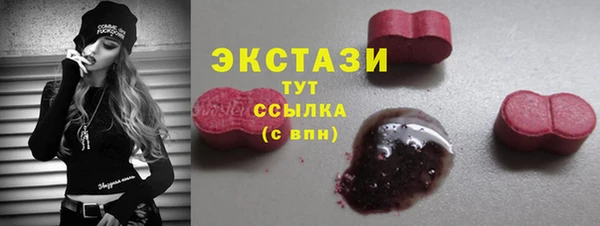 индика Верхний Тагил