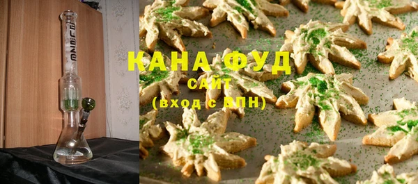 индика Верхний Тагил