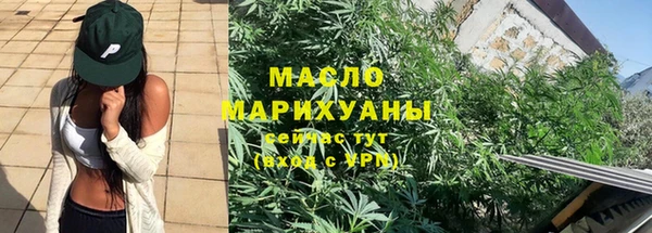индика Верхний Тагил