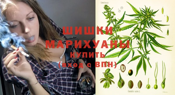 индика Верхний Тагил