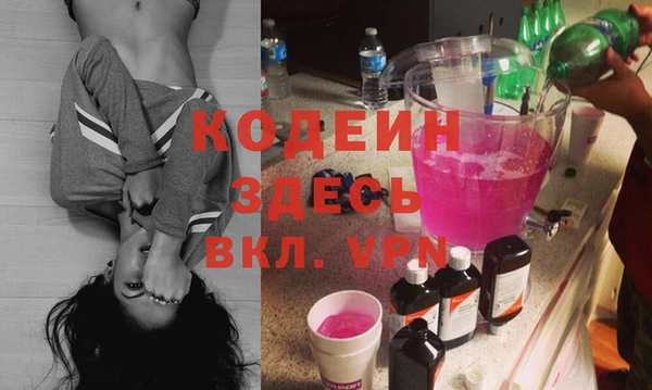 индика Верхний Тагил