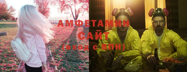 индика Верхний Тагил