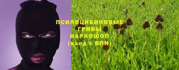 трава Верея