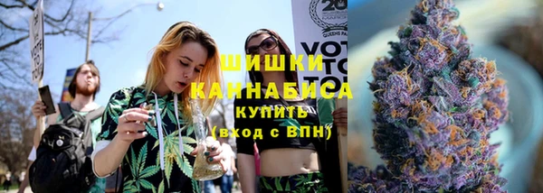 индика Верхний Тагил