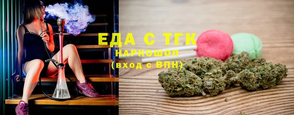 индика Верхний Тагил