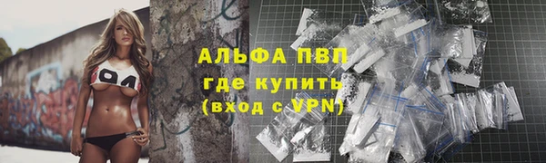 индика Верхний Тагил