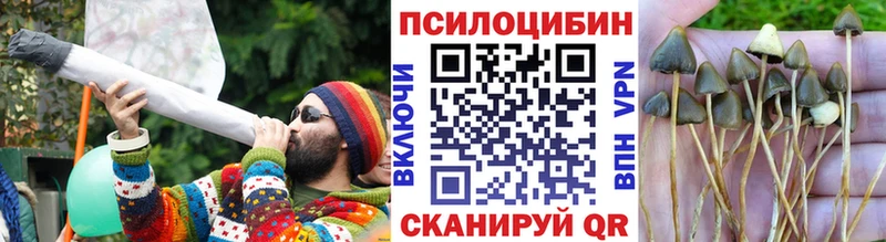 Галлюциногенные грибы Magic Shrooms  Сретенск 
